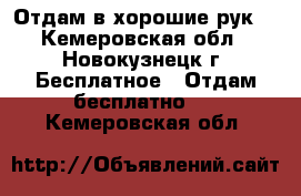 Отдам в хорошие рук  - Кемеровская обл., Новокузнецк г. Бесплатное » Отдам бесплатно   . Кемеровская обл.